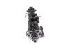 lnjection Pump -