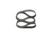 V-Ribbed Belt -