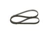 V-Ribbed Belt -
