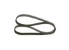 V-Ribbed Belt -