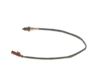 Oxygen Sensor -