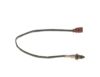Oxygen Sensor -