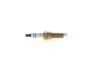 Spark Plug -