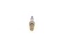 Spark Plug -