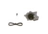 Water Pump & Timing Belt Kit -