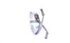 Mount, exhaust system -