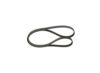 V-Ribbed Belt -