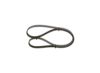 V-Ribbed Belt -