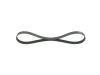V-Ribbed Belt -