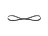 V-Ribbed Belt -