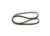 V-Ribbed Belt -