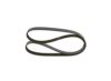V-Ribbed Belt -