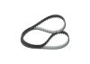 Timing Belt -