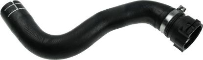 Radiator Hose -