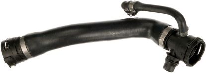 Radiator Hose -