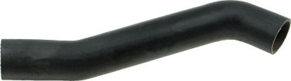 Radiator Hose -