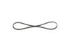 V-Ribbed Belt -