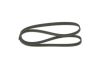 V-Ribbed Belt -