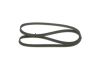 V-Ribbed Belt -