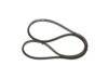 V-Belt 13X1750