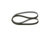 V-Ribbed Belt -