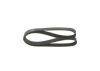 V-Ribbed Belt VAG - 03G 903 137 B - 6PK1050