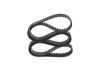 Timing Belt -