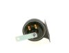 Trumpet Horn -