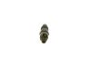 Nozzle and Holder Assembly 50 01 848 043 RENAULT