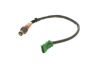 Oxygen Sensor -