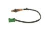 Oxygen Sensor -