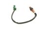 Oxygen Sensor -
