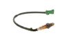 Oxygen Sensor -