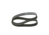 V-Ribbed Belt -