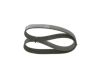 V-Ribbed Belt -