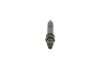 Nozzle and Holder Assembly -