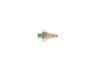 Oil Pressure Switch -