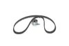 Timing Belt Kit -