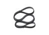 V-Ribbed Belt -
