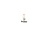 Repair Kit, ignition distributor -