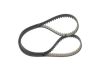 Timing Belt -