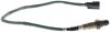 Oxygen Sensor -