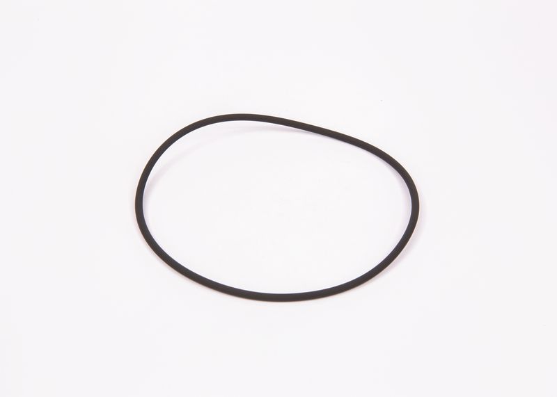 O-ring