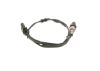 Oxygen Sensor -