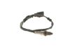 Oxygen Sensor -