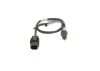 Oxygen Sensor -