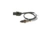 Oxygen Sensor -