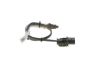 Oxygen Sensor -