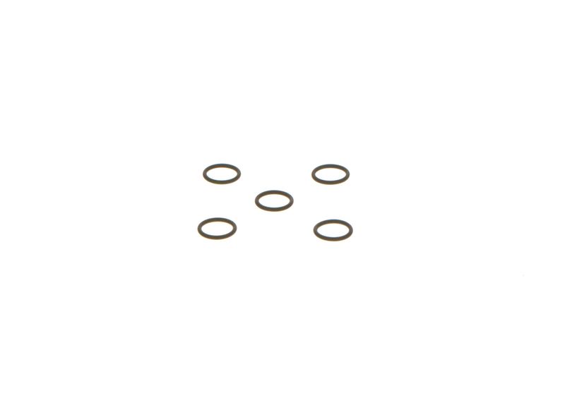 O-ring