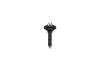 Nozzle and Holder Assembly -